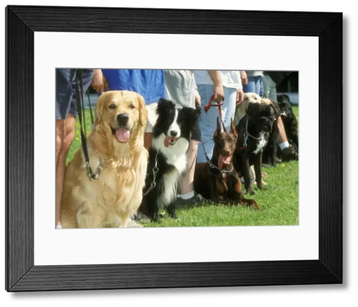 Framed Print : Picture No. 10753635 Framed Print : Picture No. 10753635