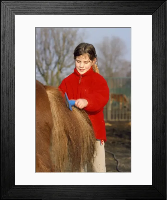 Framed Print : Picture No. 10753662 Framed Print : Picture No. 10753662