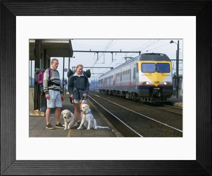 Framed Print : Picture No. 10753626 Framed Print : Picture No. 10753626