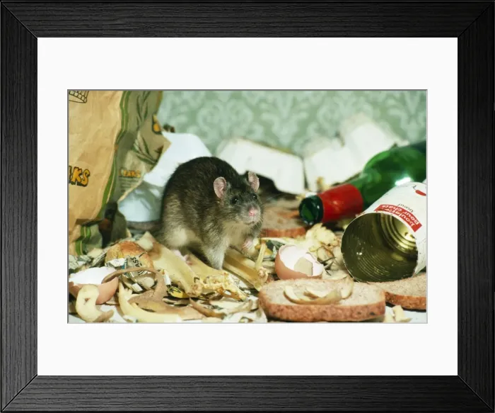 Framed Print : Picture No. 10753717 Framed Print : Picture No. 10753717