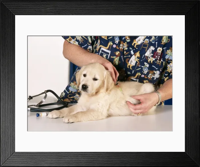 Framed Print : Picture No. 10753763 Framed Print : Picture No. 10753763