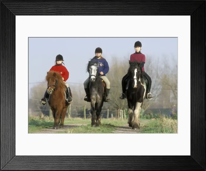 Framed Print : Picture No. 10753665 Framed Print : Picture No. 10753665