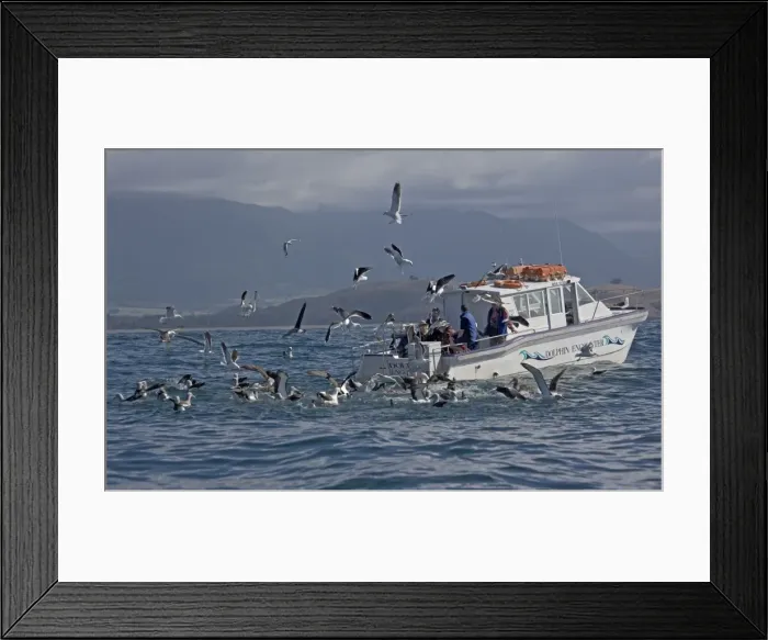 Framed Print : Picture No. 10754203