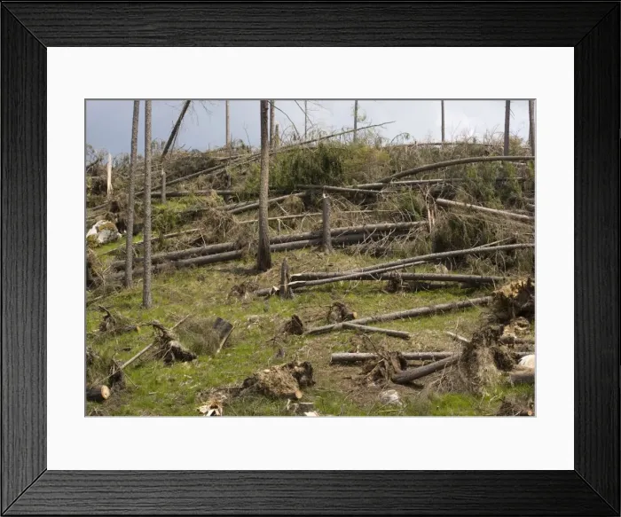 Framed Print : Picture No. 10754193 Framed Print : Picture No. 10754193