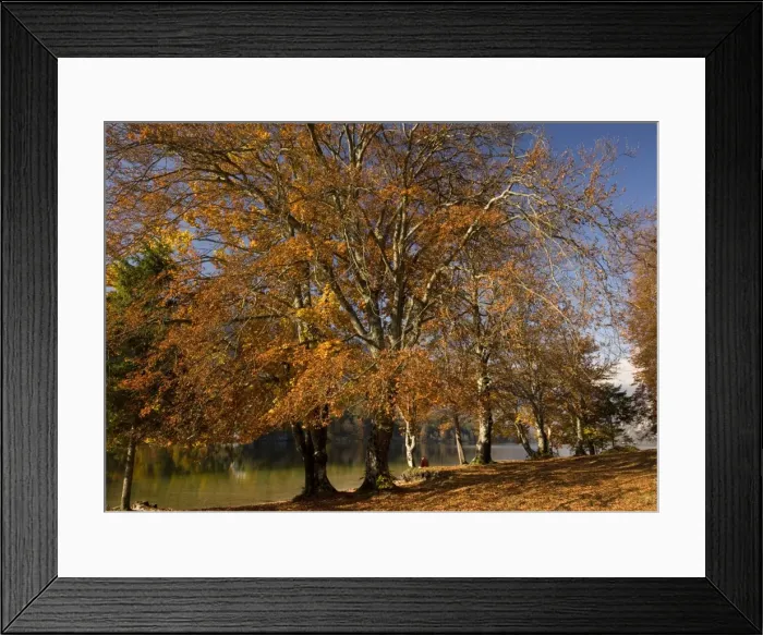 Framed Print : Picture No. 10754333 Framed Print : Picture No. 10754333