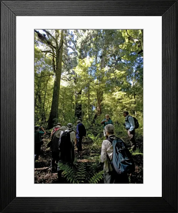 Framed Print : Picture No. 10754241 Framed Print : Picture No. 10754241