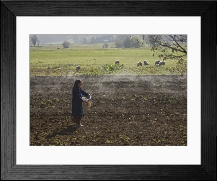 Framed Print : Picture No. 10754343 Framed Print : Picture No. 10754343