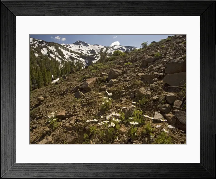 Framed Print : Picture No. 10754473 Framed Print : Picture No. 10754473