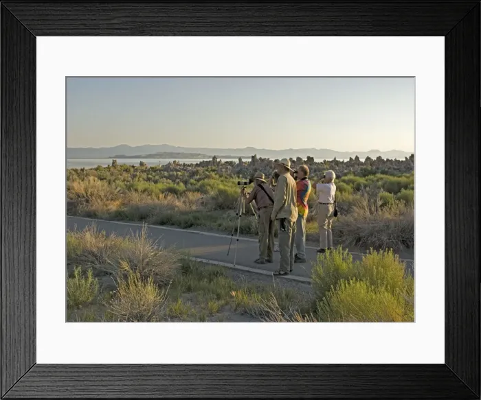Framed Print : Picture No. 10754481 Framed Print : Picture No. 10754481