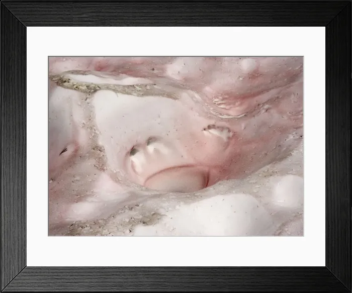 Framed Print : Picture No. 10754505 Framed Print : Picture No. 10754505