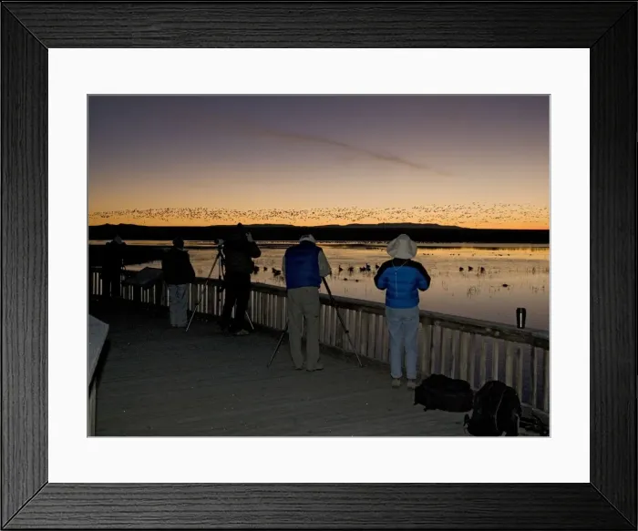 Framed Print : Picture No. 10754591 Framed Print : Picture No. 10754591