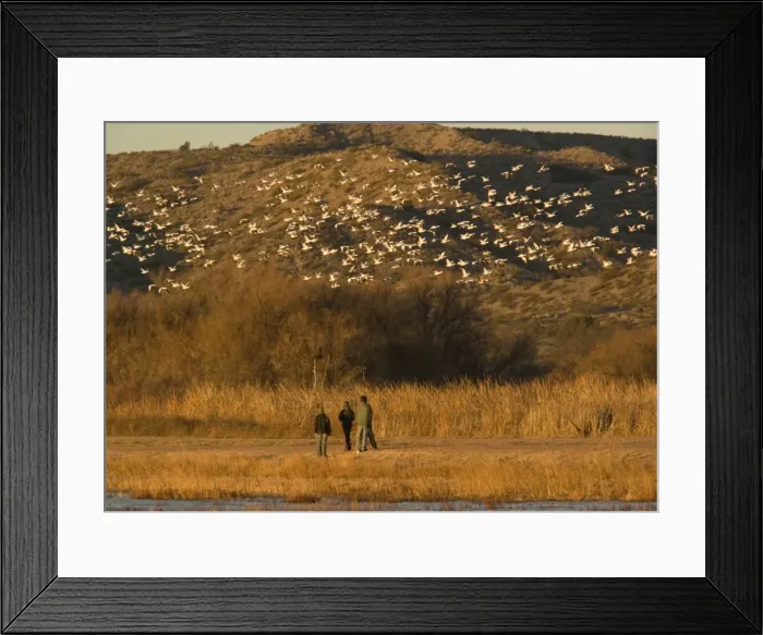 Framed Print : Picture No. 10754593 Framed Print : Picture No. 10754593