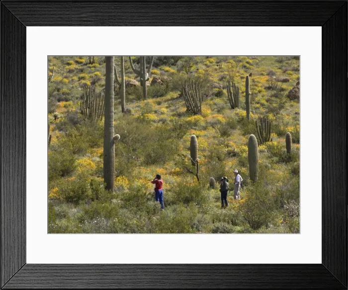 Framed Print : Picture No. 10754440 Framed Print : Picture No. 10754440