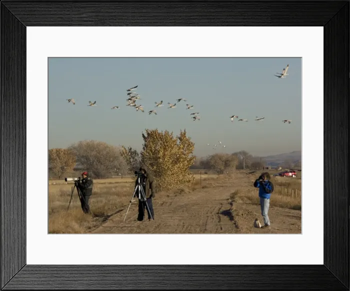 Framed Print : Picture No. 10754597 Framed Print : Picture No. 10754597