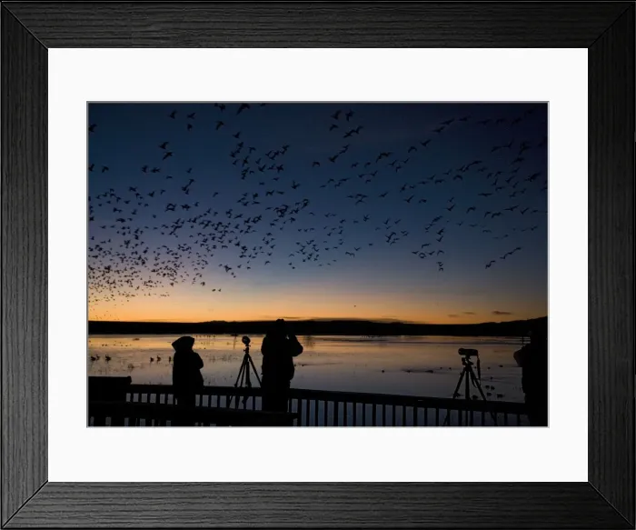 Framed Print : Picture No. 10754590 Framed Print : Picture No. 10754590