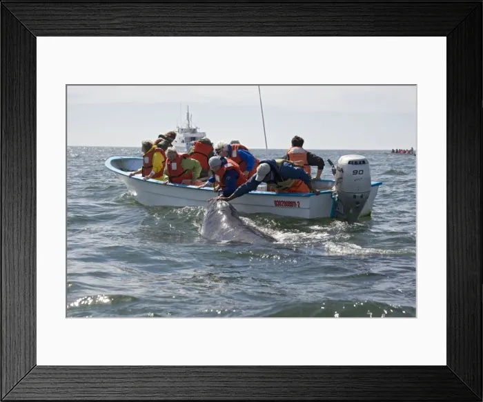 Framed Print : Picture No. 10754751 Framed Print : Picture No. 10754751
