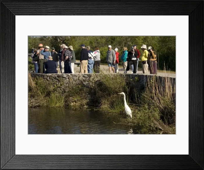 Framed Print : Picture No. 10754722 Framed Print : Picture No. 10754722