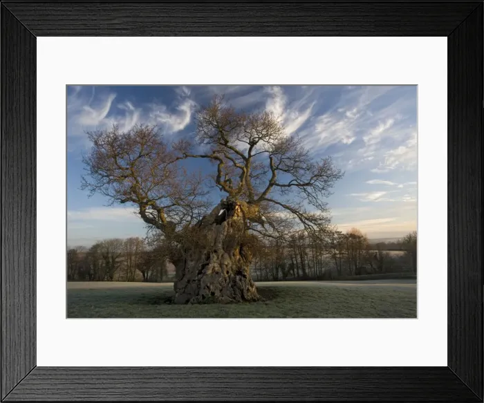 Framed Print : Picture No. 10754854 Framed Print : Picture No. 10754854