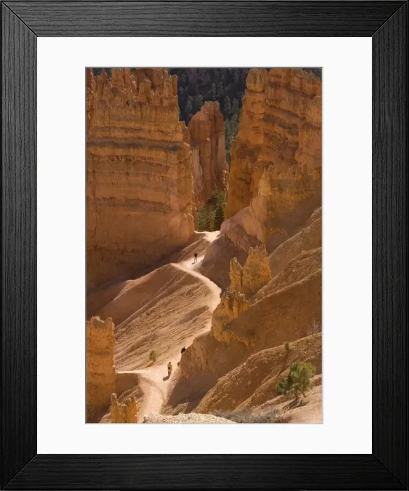 Framed Print : Picture No. 10754809 Framed Print : Picture No. 10754809