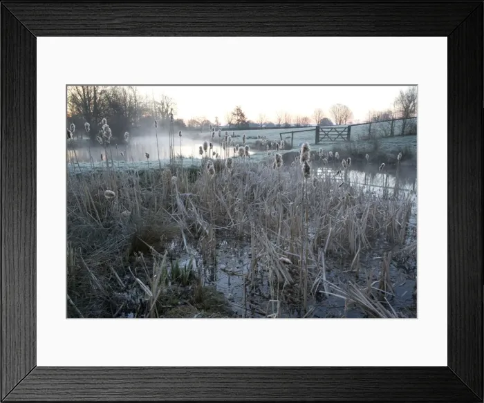 Framed Print : Picture No. 10754846 Framed Print : Picture No. 10754846