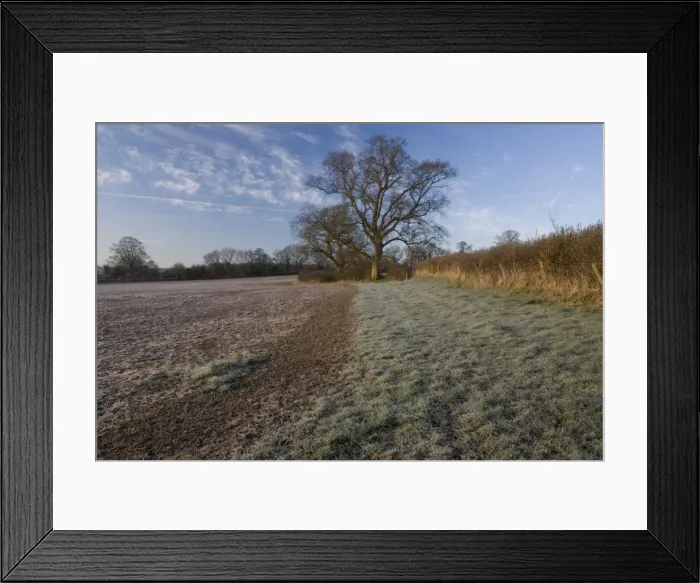 Framed Print : Picture No. 10754851 Framed Print : Picture No. 10754851