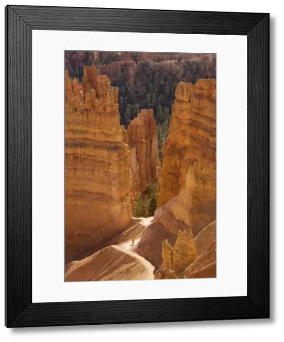 Framed Print : Picture No. 10755414 Framed Print : Picture No. 10755414