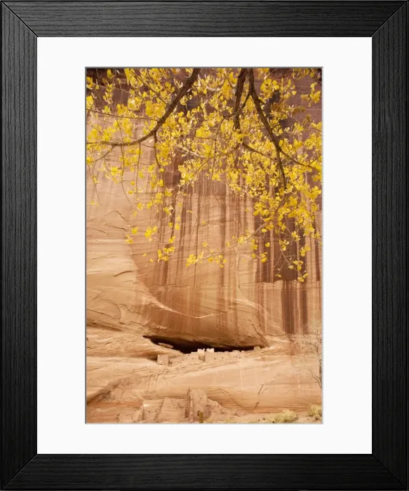 Framed Print : Picture No. 10755422 Framed Print : Picture No. 10755422