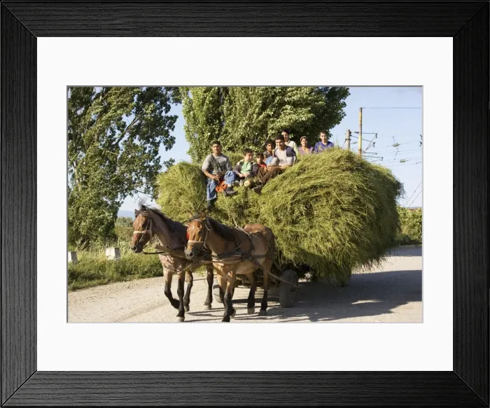 Framed Print : Picture No. 10755759 Framed Print : Picture No. 10755759