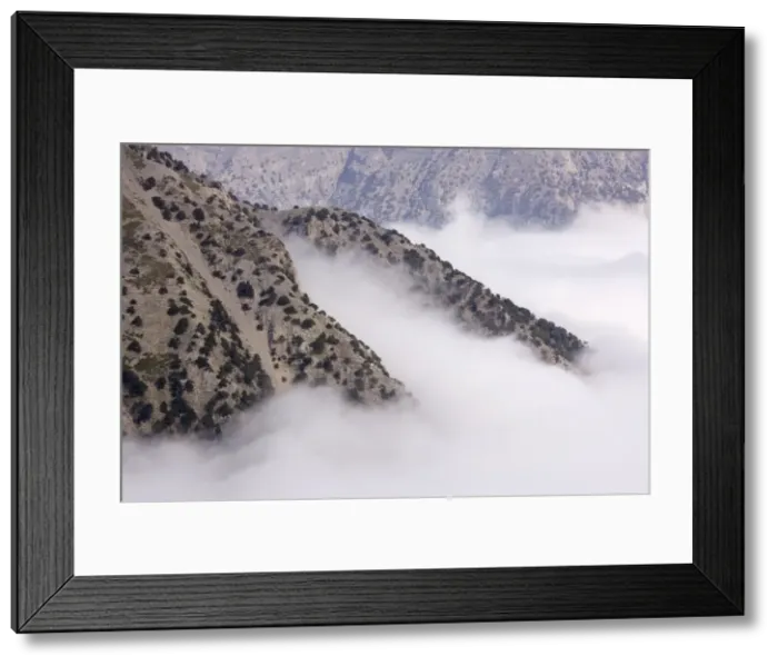 Framed Print : Picture No. 10755804 Framed Print : Picture No. 10755804