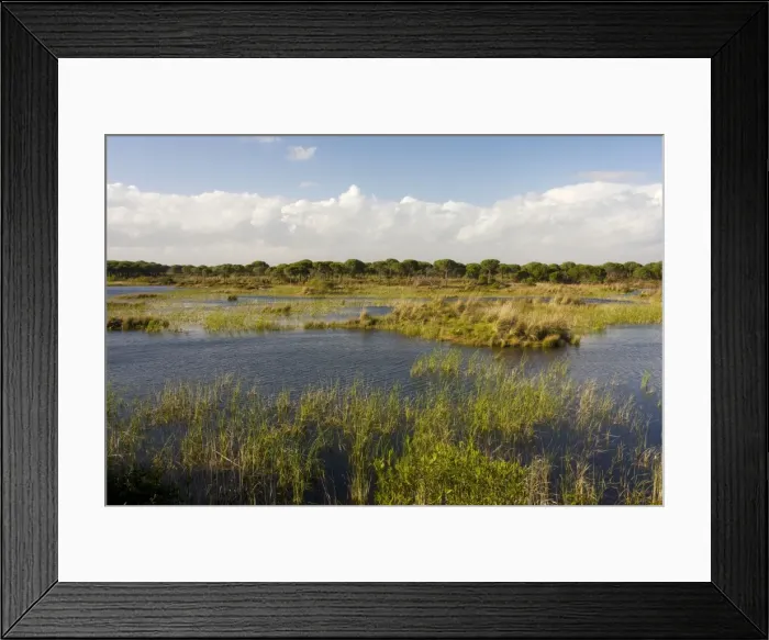Framed Print : Picture No. 10755850 Framed Print : Picture No. 10755850