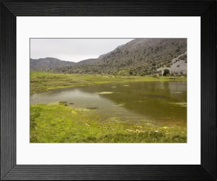 Framed Print : Picture No. 10755803 Framed Print : Picture No. 10755803