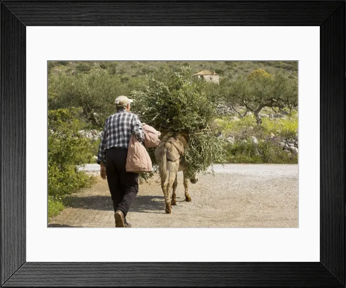 Framed Print : Picture No. 10755858 Framed Print : Picture No. 10755858