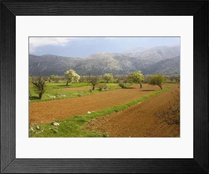 Framed Print : Picture No. 10755805 Framed Print : Picture No. 10755805