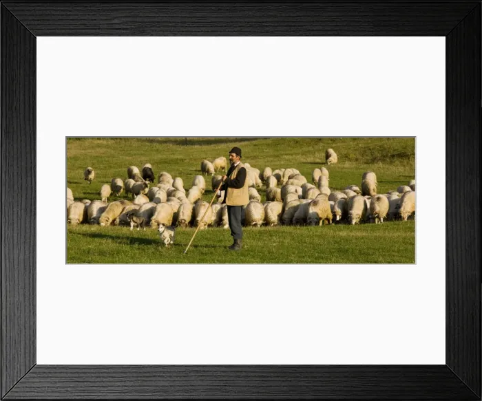 Framed Print : Picture No. 10755939 Framed Print : Picture No. 10755939