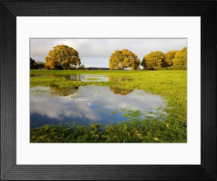 Framed Print : Picture No. 10755888 Framed Print : Picture No. 10755888