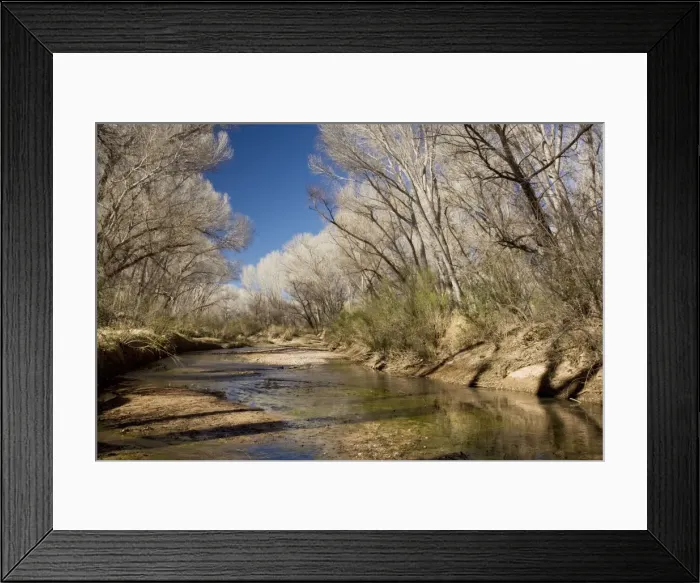 Framed Print : Picture No. 10756029 Framed Print : Picture No. 10756029