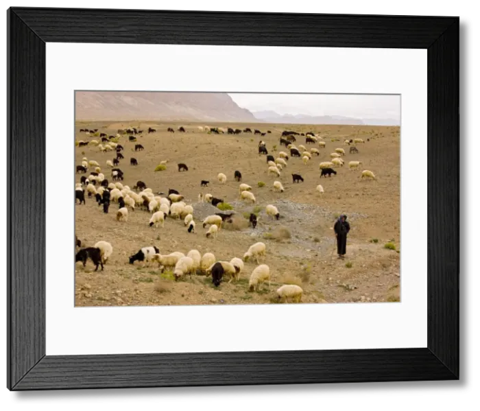 Framed Print : Picture No. 10756119 Framed Print : Picture No. 10756119