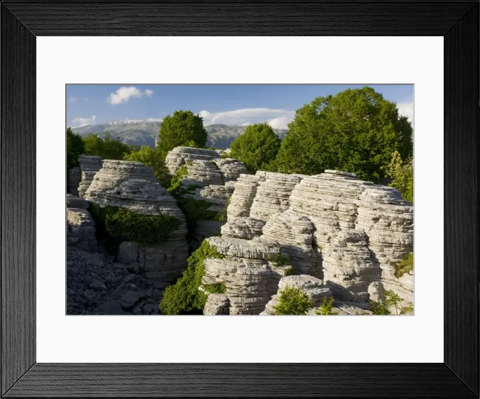 Framed Print : Picture No. 10756079 Framed Print : Picture No. 10756079