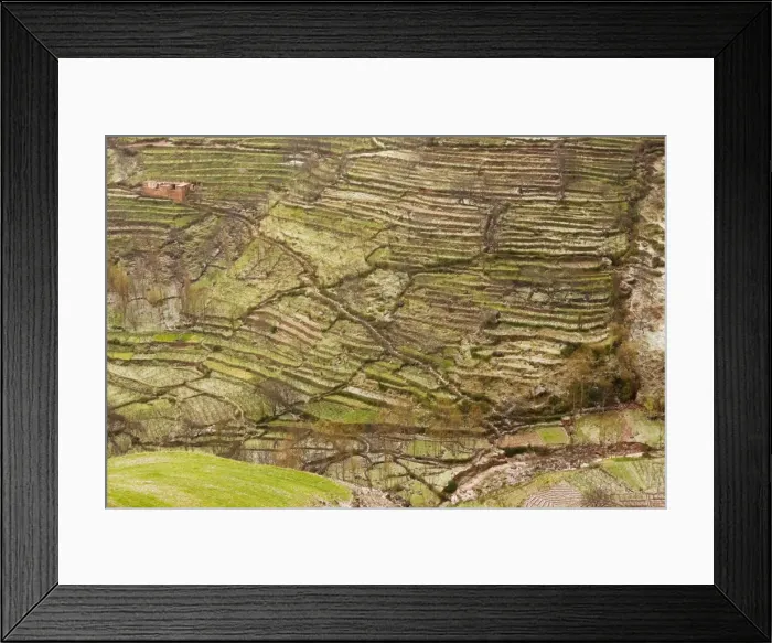 Framed Print : Picture No. 10756109