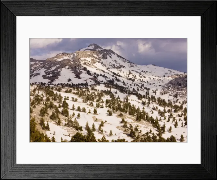 Framed Print : Picture No. 10756183 Framed Print : Picture No. 10756183
