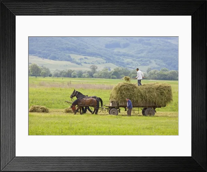 Framed Print : Picture No. 10756246 Framed Print : Picture No. 10756246