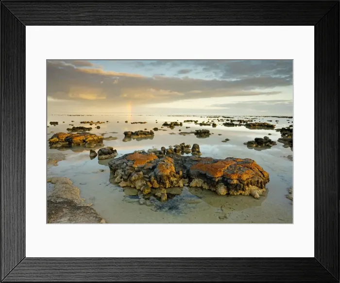 Framed Print : Picture No. 10756294