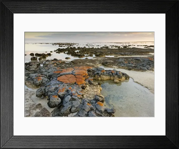 Framed Print : Picture No. 10756293