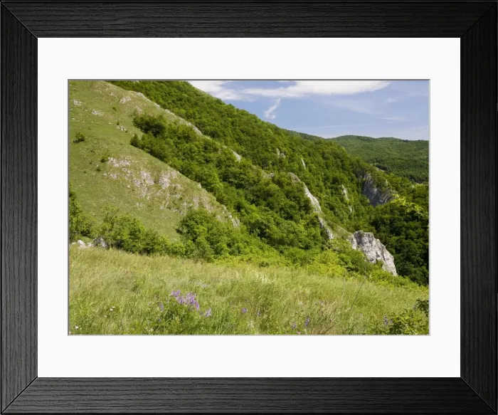 Framed Print : Picture No. 10756251