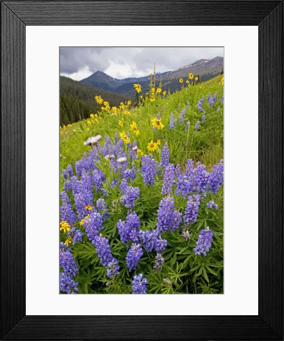 Framed Print : Picture No. 10756340 Framed Print : Picture No. 10756340