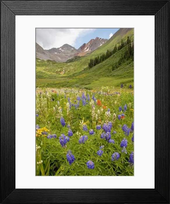 Framed Print : Picture No. 10756344 Framed Print : Picture No. 10756344