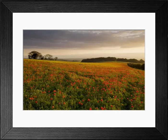 Framed Print : Picture No. 10756333 Framed Print : Picture No. 10756333