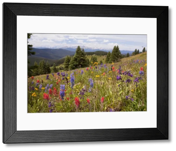 Framed Print : Picture No. 10756335 Framed Print : Picture No. 10756335