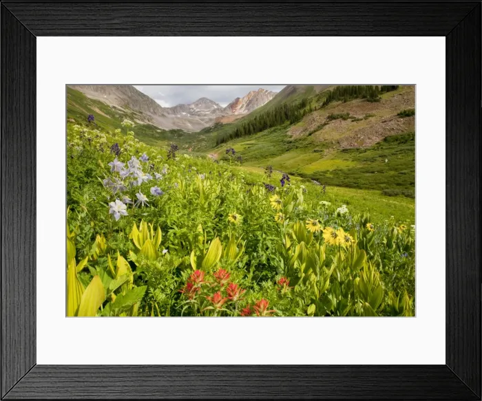Framed Print : Picture No. 10756345