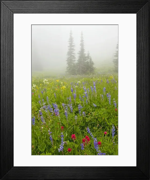 Framed Print : Picture No. 10756354 Framed Print : Picture No. 10756354